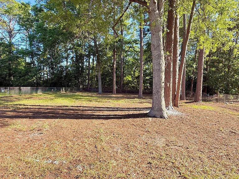 521 Azalea St — Photo 5
