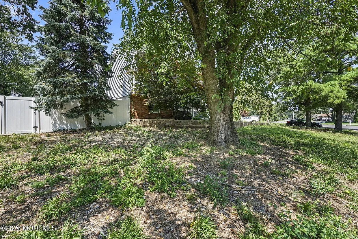 4 bed, 1308 sqft, $3,595 — Photo 3