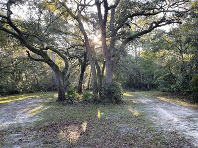 188th Pl Lot 14, Mc Alpin, FL, 32062