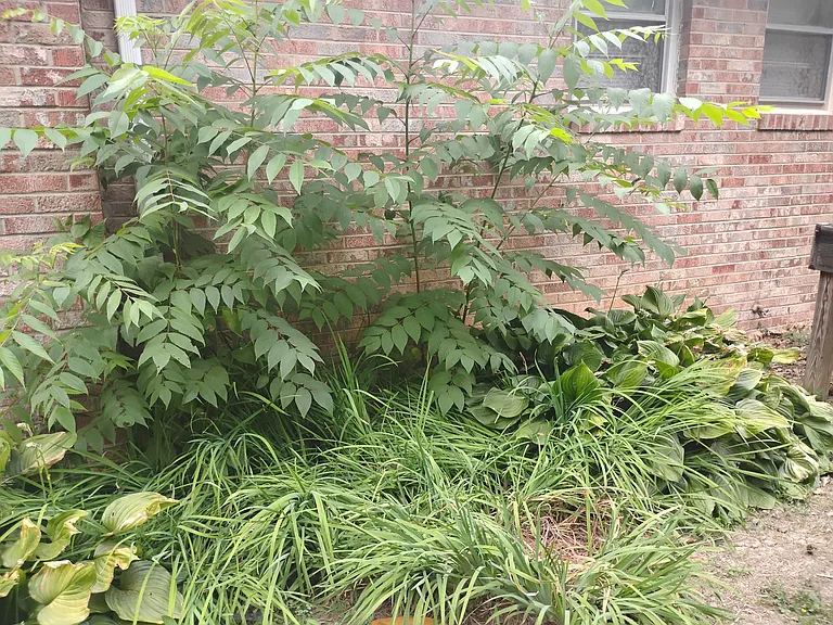 Garden Lake Dr — Photo 9