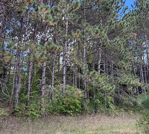 4th image of Crestview Us Hwy #10