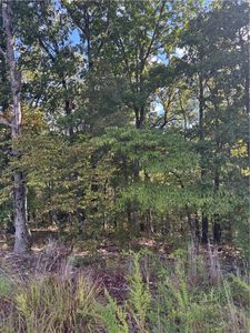 Annabell Ln #36, Bella Vista, AR, 72715