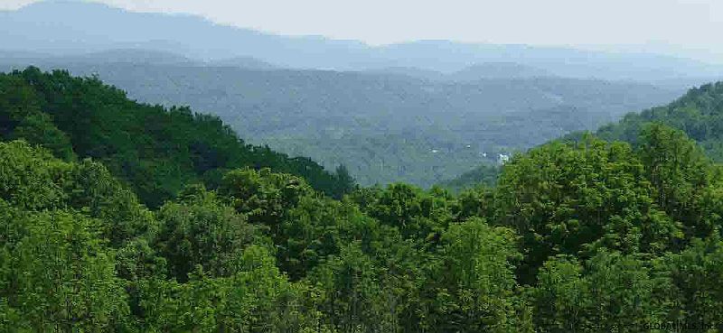 4th image of 303 S Grimes Hill Road
