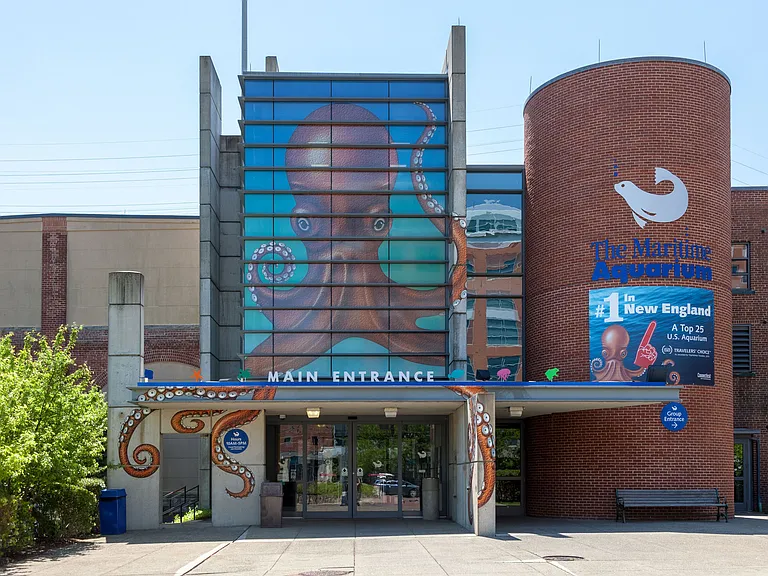 Nearby Attractions