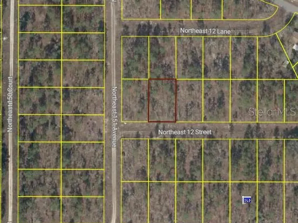 NE 12th St Lot 9, Williston, FL 32696