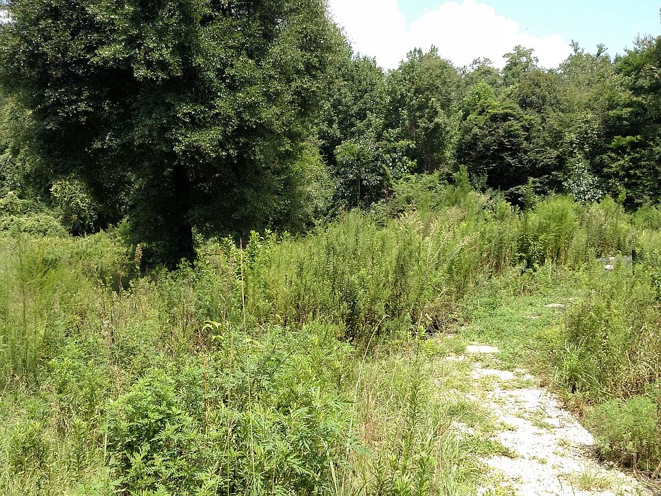 2nd image of 12 Acres Hwy #25