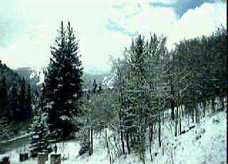 1st image of 155 Beaver Creek Blvd