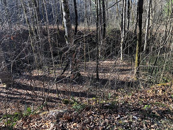 3rd image of 0 Glenview Ln