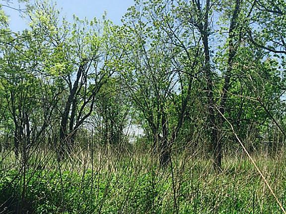 3rd image of 239 County Road 4801