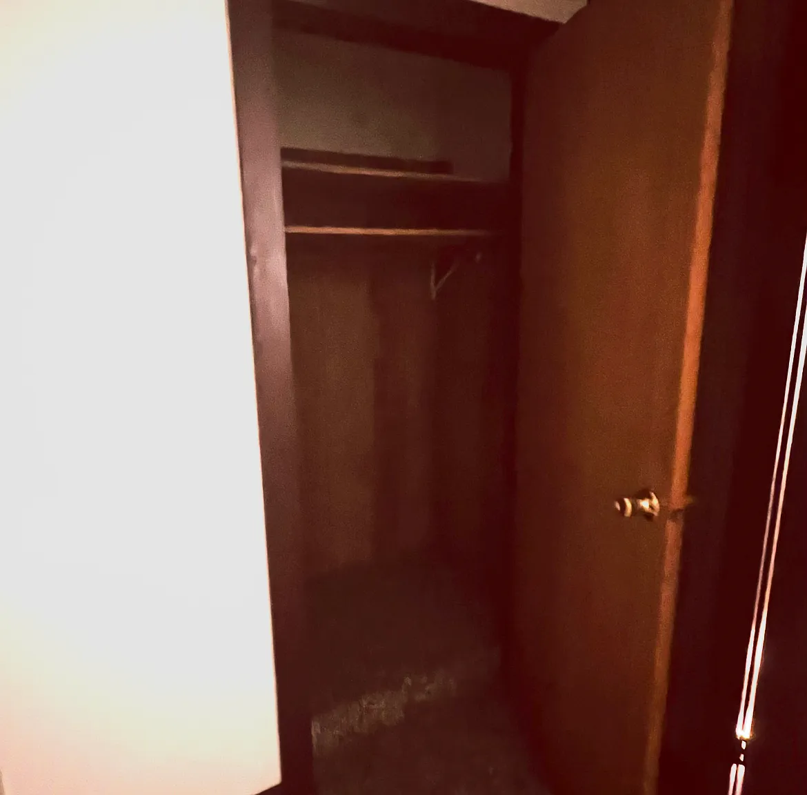 1 bed, 500 sqft, $850 — Photo 1