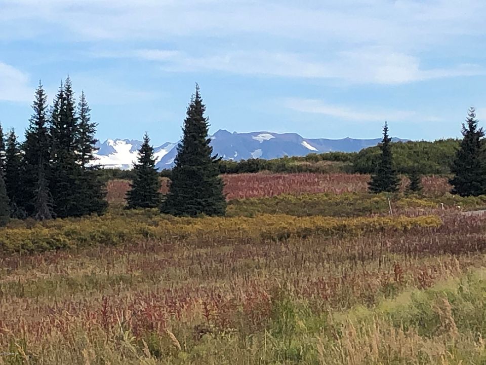 1st image of 35290 Alpine Meadows Dr