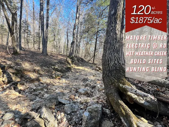 120 Ac County Road 547, Tecumseh, MO 65760