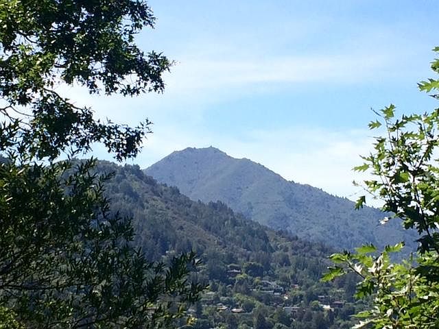 Wonderful Mt. Tam view from rear patios and entry