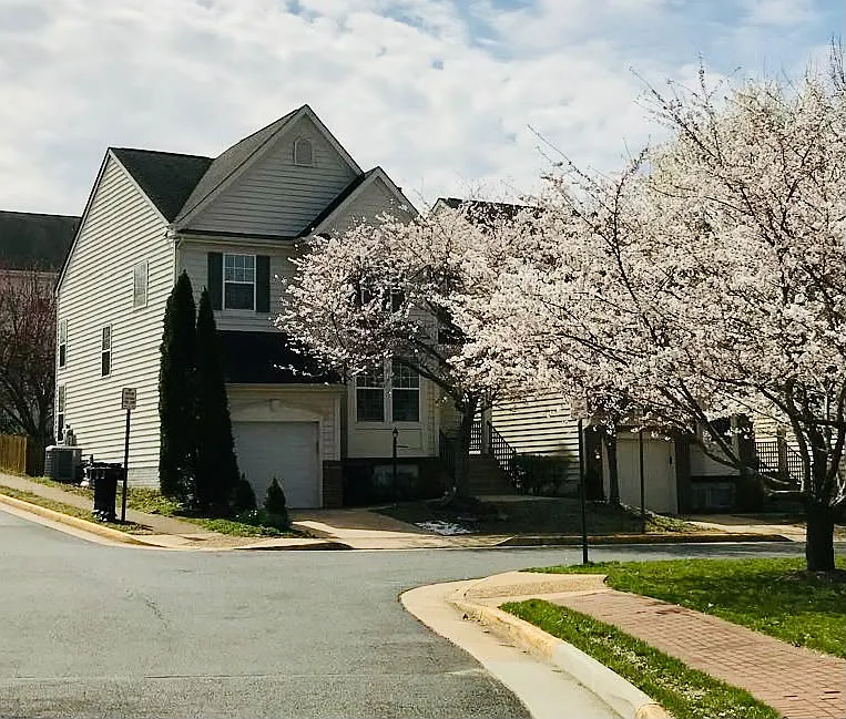 1 bed, $1,600 — Photo 1