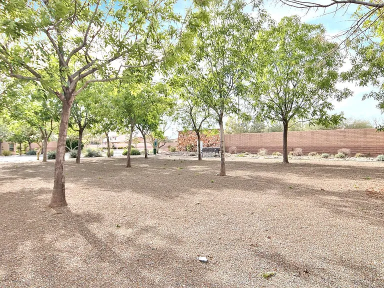 29133 N 125th Dr — Photo 21