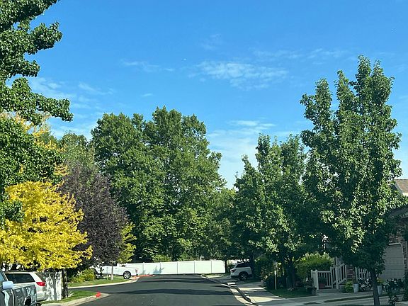 5th image of 707 S Clearwater Falls Dr