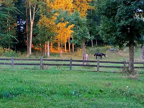 Fall pasture