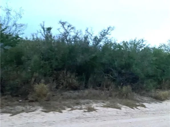 7039 County Road 205, San Diego, TX 78384