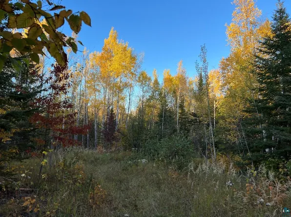 4 North Rd, Hovland, MN 55606