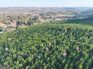 91/ACRE Fosters Mill Rd SW, Cave Spring, GA 30124