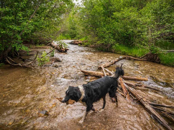 0 Deer Mesa, Valdez, NM 87580