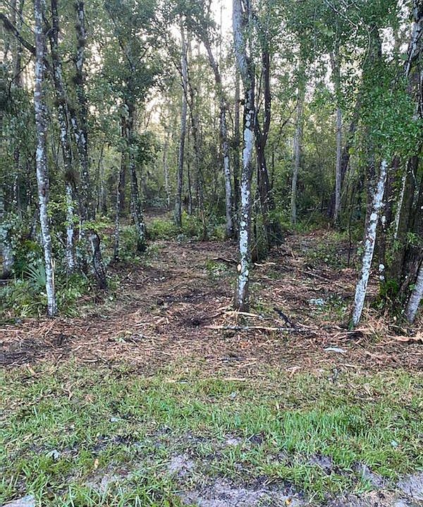 2nd image of 1817 Coconut Blvd