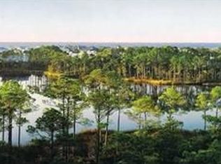 123 Vermillion Way, Santa Rosa Beach, FL 32459