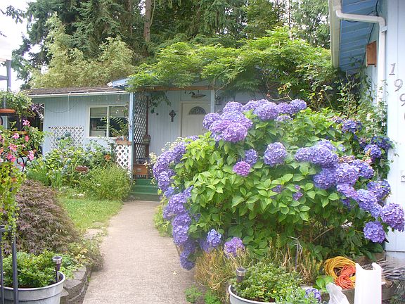 Front Gardens Summer