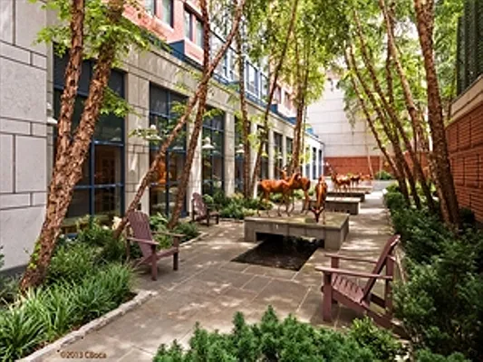 Rented by Corcoran | media 15