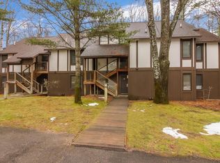 6493 Deer Path, Bellaire, MI 49615