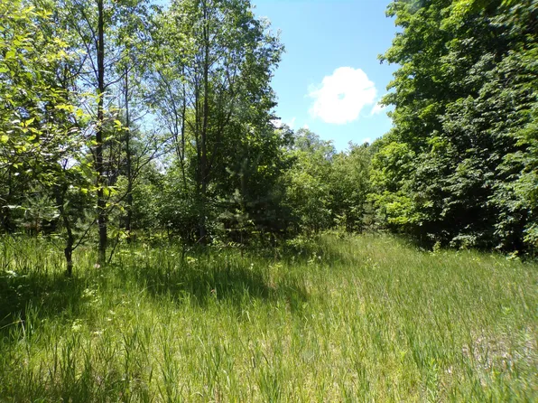 N 9th Rd, Mesick, MI 49668