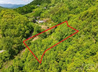 1851 Newfound St, Leicester, NC 28748