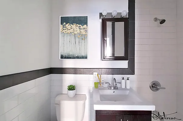 Rented by Platinum Properties | media 7