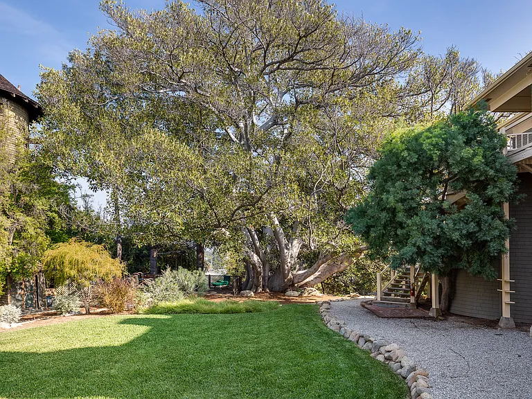 Rear garden with Moreton Bay Fig tree. Apartment No. 6 is on the upper right.