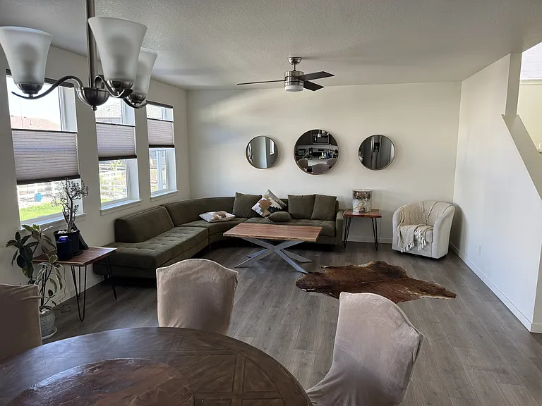 Living room (1rst floor)