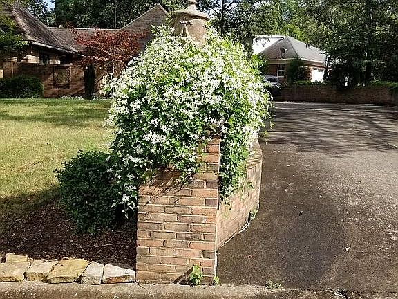 4th image of 332 Golf Cart Dr
