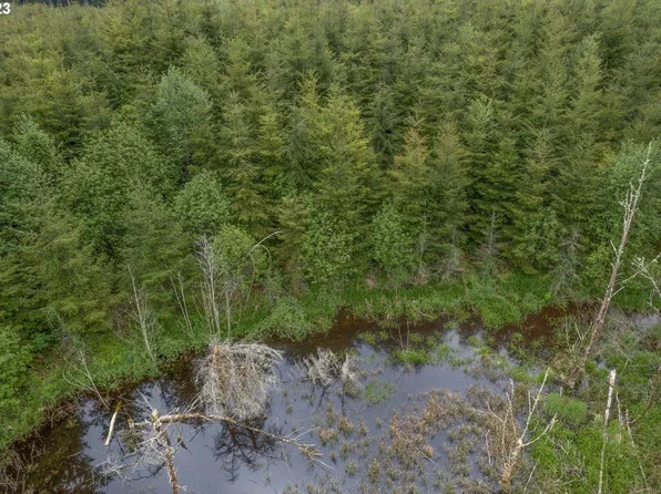 0 Eden Valley Rd, Rosburg, WA 98643