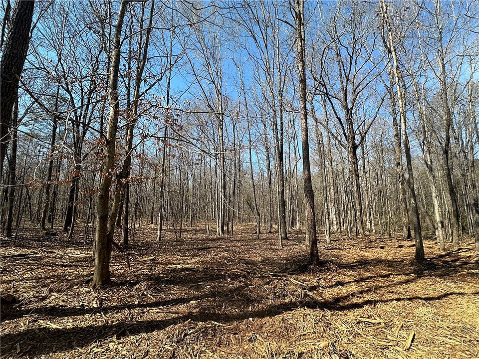 0 Lee Road 279, Salem, AL 36874 Zillow