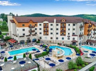 217/219 Tamarack Clb, Ellicottville, NY 14731