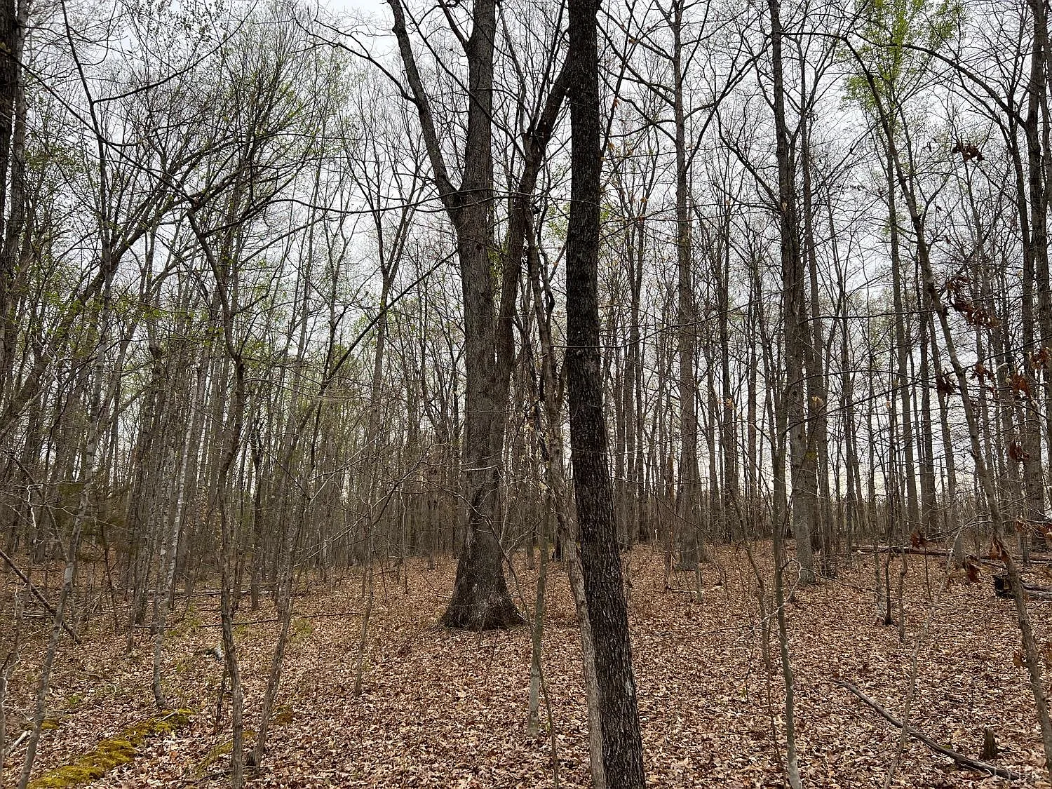 0 Tower Hill Rd Lot 22 photo 1