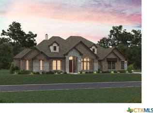 10723 Chestnut Warbler, New Braunfels, TX 78132