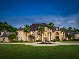 28322 Meadow Fls, Magnolia, TX 77355