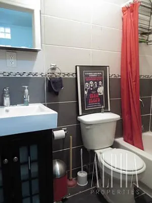 Rented by Alpha Properties NYC I LLC | media 1