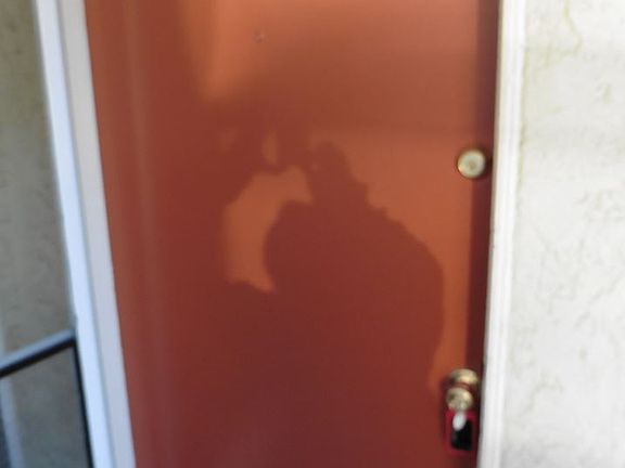 5th image of 26 Belmont Ave APT 5
