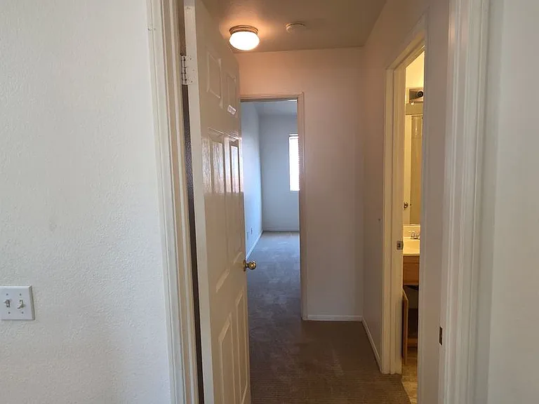 29602 Cara Way — Photo 22