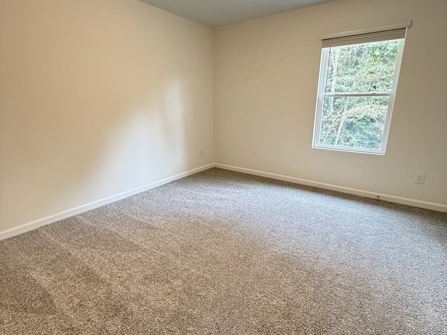 103 Swink Street Southwest - B — Photo 4