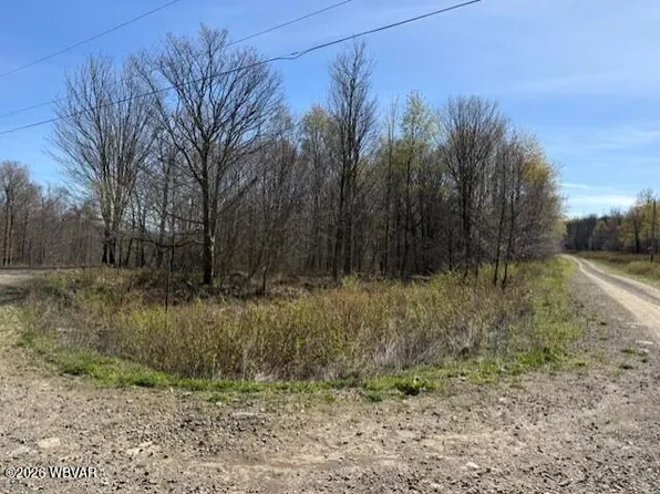 PARCEL 37 Revelation Rd, Shunk, PA 17768
