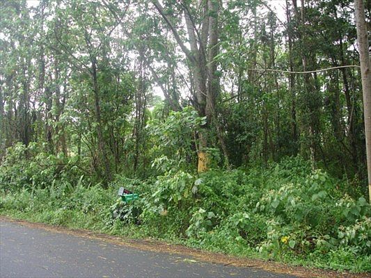 2nd image of Puni Mauka Loop N Lot 5