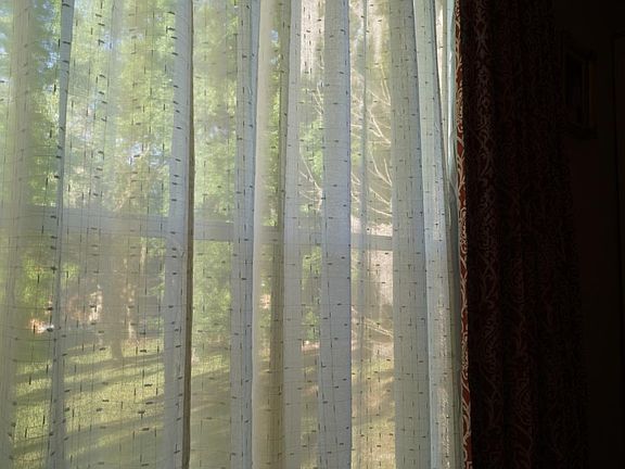 View from bedroom window.