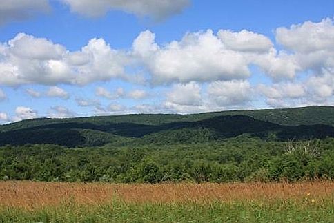 1st image of Cricket Hill